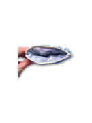 PLAS-P-2605-13++.png
