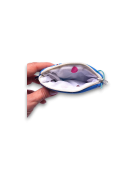 PLAS-P-2605-14++.png