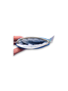 PLAS-P-2605-15++.png