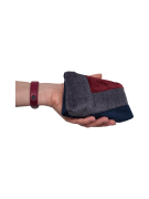 S1++.png