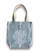 TORS-2605-1.png